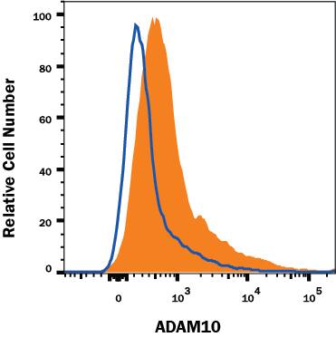 Mouse splenocytes were stained with Rat Anti-Mouse ADAM10 Ectodomain Fluorescein-conjugated Monoclonal Antibody (Catalog # FAB946F, filled histogram) or isotype control antibody (Catalog # IC006F, open histogram). View our protocol for Staining Membrane-associated Proteins.