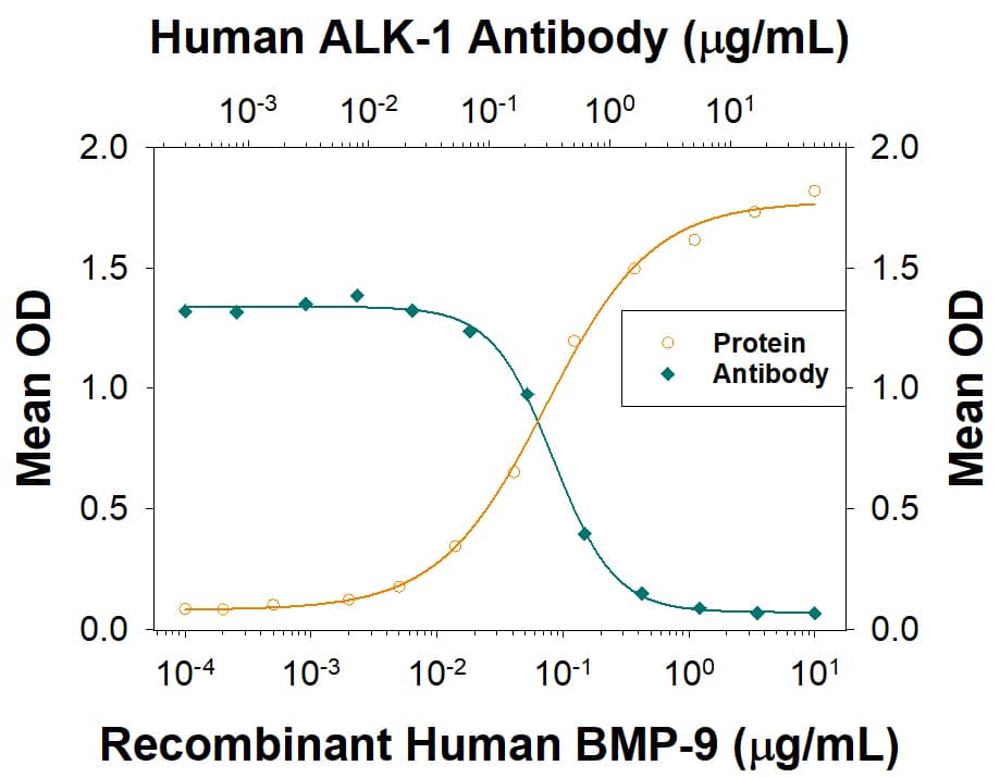In a functional ELISA, Recombinant Human BMP-9 (Catalog # 9624-BP) binds to immobilized Recombinant Human ALK-1 (Catalog # 370-AL) coated at 1 µg/mL (100uL/well) in a dose-dependent manner (orange line). Binding is blocked (green line) by increasing concentrations of Mouse Anti-Human Alk-1 Monoclonal Antibody (Catalog # MAB3701). At 2 µg/mL, this antibody will block >90% of the binding.