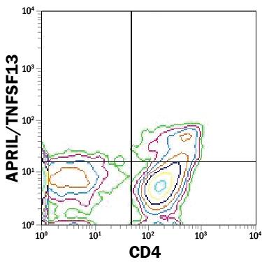 Th2-stimulated peripheral blood mononuclear cells (PBMCs) were stained with Goat Anti-Human APRIL/TNFSF13 PE-conjugated Antigen Affinity-purified Polyclonal Antibody (Catalog # IC884P) and Mouse Anti-Human CD4 APC-conjugated Monoclonal Antibody (FAB3791A). Quadrant markers were set based on control antibody staining (IC108P). To facilitate intracellular staining, cells were fixed with Flow Cytometry Fixation Buffer (FC004) and permeabilized with Flow Cytometry Permeabilization/Wash Buffer I (Catalog # FC005). View our protocol for Staining Intracellular Molecules.