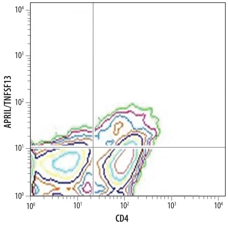 Human peripheral blood monocytes stimulated with 5 ng/mL Recombinant Human IL-4 (Catalog # 204-IL) and 10 µg/mL Goat Anti-Human IFN-gamma Antigen Affinity-purified Polyclonal Antibody (Catalog # AF-285-NA) for three days followed by a 3 hour incubation with monensin were stained with Mouse Anti-Human APRIL/TNFSF13 Monoclonal Antibody (Catalog # MAB8843) followed by Phycoerythrin-conjugated Anti-Mouse IgG Secondary Antibody (Catalog # F0102B) and Mouse Anti-Human CD4 APC-conjugated Monoclonal Antibody (Catalog # FAB3791A). Quadrant markers were set based on control antibody staining (Catalog # MAB004). To facilitate intracellular staining, cells were fixed with paraformaldehyde and permeabilized with saponin.