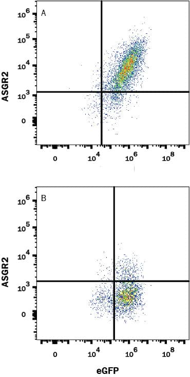 Flow Cytometry Asialoglycoprotein Receptor 2 Antibody (2327C) [Unconjugated]