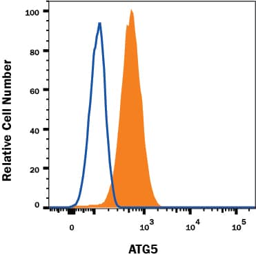 HeLa human cervical epithelial carcinoma cell line was stained with Mouse Anti-Human/Mouse/Rat ATG5 Alexa Fluor® 594-conjugated Monoclonal Antibody (Catalog # IC5294T, filled histogram) or isotype control antibody (IC0041T, open histogram). To facilitate intracellular staining, cells were fixed and permeabilized with FlowX FoxP3 Fixation & Permeabilization Buffer Kit (FC012. View our protocol for Staining Intracellular Molecules.