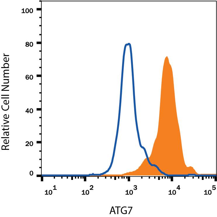 Intracellular Staining by Flow Cytometry ATG7 Antibody (683906) [Unconjugated]
