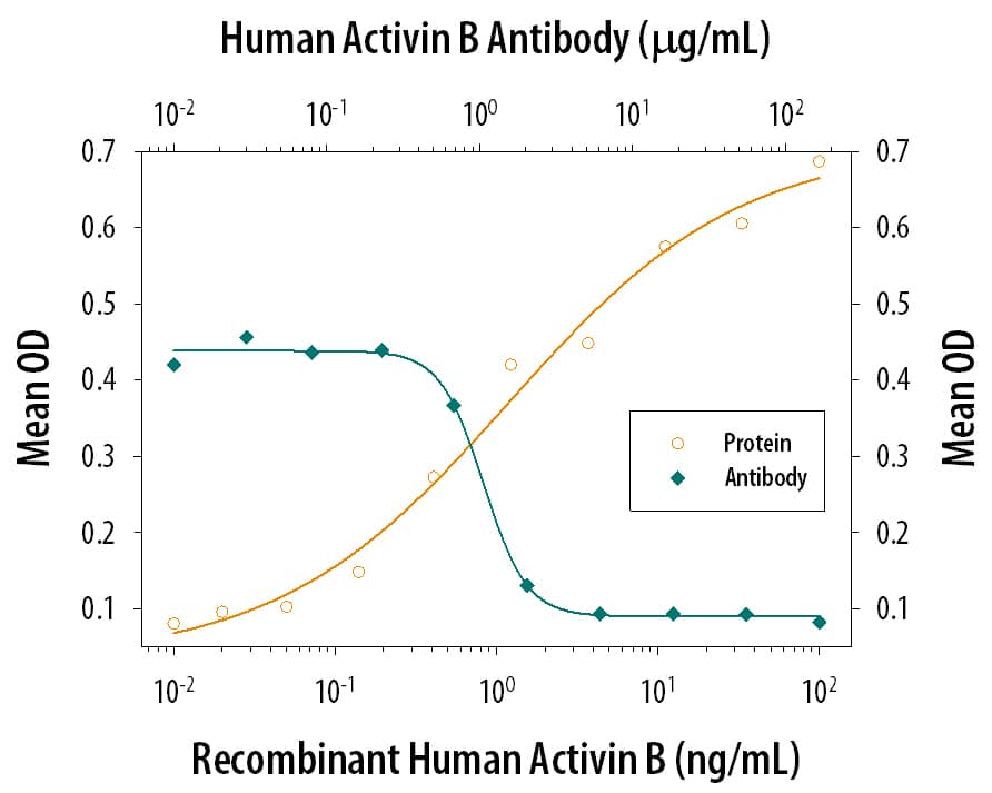 Recombinant Human Activin B  beta B subunit (Catalog # 659-AB) increases hemoglobin expression in the K562 human chronic myelogenous leukemia cell line in a dose-dependent manner (orange line), as measured by the psuedoperoxidase assay. Hemoglobin expression elicited by Recombinant Human Activin B  beta B subunit (7.5 ng/mL) is neutralized (green line) by increasing concentrations of Mouse Anti-Human Activin B  beta B subunit Monoclonal Antibody (Catalog # MAB659). The ND50 is typically 0.6-3.0 µg/mL.