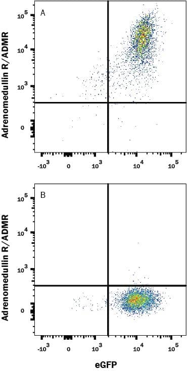 Flow Cytometry Adrenomedullin R/ADMR/GPR182 Antibody (528563) [Unconjugated]