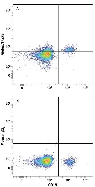 Human peripheral blood mononuclear cells (PBMCs) were stained with Mouse Anti-Human CD19 APC-conjugated Monoclonal Antibody (FAB4867A) and either (A) Mouse Anti-Human Aiolos/IKZF3 Alexa Fluor® 488-conjugated Monoclonal Antibody (Catalog # IC8625G) or (B) Mouse IgG1Alexa Fluor 488 Isotype Control (IC002G). To facilitate intracellular staining, cells were fixed and permeabilized with FlowX FoxP3 Fixation & Permeabilization Buffer Kit (FC012). View our protocol for Staining Intracellular Molecules.