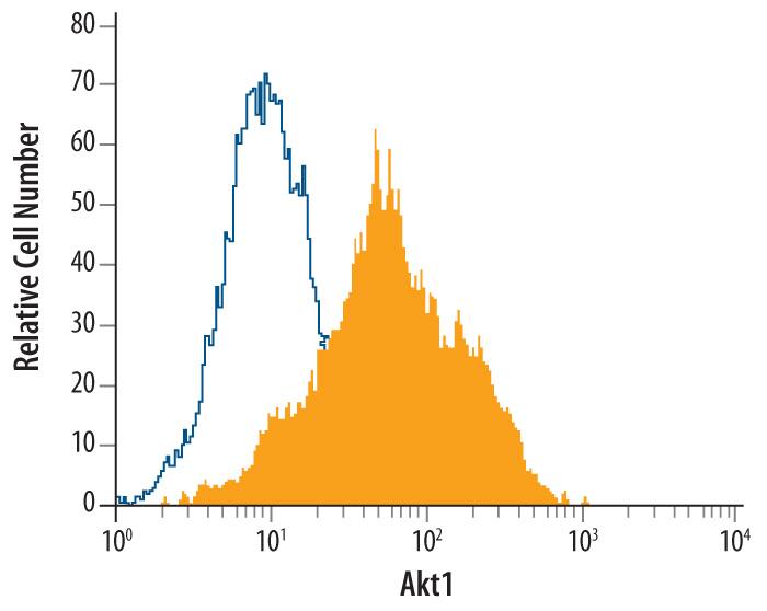 MCF‑7 human breast cancer cell line was stained with Mouse Anti-Human Akt1 Monoclonal Antibody (Catalog # MAB17751, filled histogram) or isotype control antibody (Catalog # MAB002, open histogram), followed by Phycoerythrin-conjugated Anti-Mouse IgG F(ab')2Secondary Antibody (Catalog # F0102B). To facilitate intracellular staining, cells were fixed with paraformaldehyde and permeabilized with saponin.
