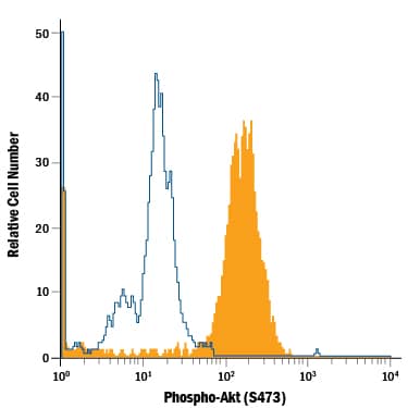 Jurkat human acute T cell leukemia cell line either untreated (open histogram) or treated with 100 nM Calyculin A (Catalog # 1336) for 30 minutes (filled histogram) was stained with Mouse Anti-Human/Mouse Phospho-Akt (S473) PE-conjugated Monoclonal Antibody (Catalog # IC7794P). To facilitate intracellular staining, cells were fixed with Flow Cytometry Fixation Buffer (Catalog # FC004) and permeabilized with Flow Cytometry Permeabilization/Wash Buffer I (Catalog # FC005). View our protocol for Staining Intracellular Molecules.