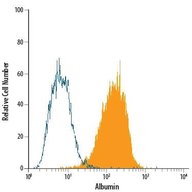 HepG2 human hepatocellular carcinoma cell line was stained with Mouse Anti-Human Serum Albumin PE-conjugated Monoclonal Antibody (Catalog # IC1455P, filled histogram) or isotype control antibody (Catalog # IC003P, open histogram). To facilitate intracellular staining, cells were fixed with Flow Cytometry Fixation Buffer (Catalog # FC004) and permeabilized with Flow Cytometry Permeabilization/Wash Buffer I (Catalog # FC005). View our protocol for Staining Intracellular Molecules.