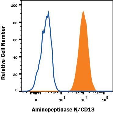 U937 human histiocytic lymphoma cell line was stained with Sheep Anti-Human Aminopeptidase N/CD13 Antigen Affinity-purified Polyclonal Antibody (Catalog # AF3815, filled histogram) or isotype control antibody (Catalog # 5-001-A, open histogram), followed by APC-conjugated Anti-Sheep IgG Secondary Antibody (Catalog # F0127). View our protocol for Staining Membrane-associated Proteins.