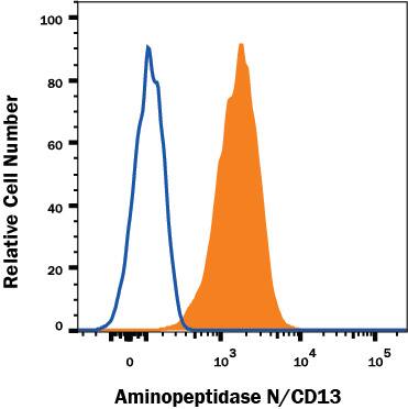 U937 human histiocytic lymphoma cell line was stained with Mouse Anti-Human Aminopeptidase N/CD13 Monoclonal Antibody (Catalog # MAB38152, filled histogram) or isotype control antibody (Catalog # MAB003, open histogram), followed by APC-conjugated Anti-Mouse IgG Secondary Antibody (Catalog # F0101B). View our protocol for Staining Membrane-associated Proteins.
