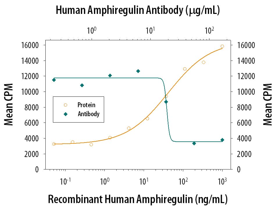 Recombinant Human Amphiregulin (Catalog # 262-AR) stimulates proliferation in the Balb/3T3 mouse embryonic fibroblast cell line in a dose-dependent manner (orange line). Proliferation elicited by Recombinant Human Amphiregulin (50 ng/mL) is neutralized (green line) by increasing concentrations of Goat Anti-Human Amphiregulin Polyclonal Antibody (Catalog # AB-262-NA). The ND50 is typically 5-20 µg/mL.