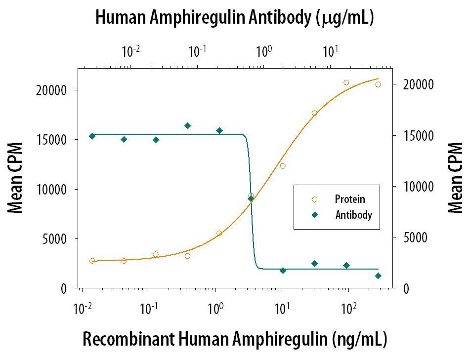 Recombinant Human Amphiregulin (Catalog # 262-AR) stimulates proliferation in the Balb/3T3 mouse embryonic fibroblast cell line in a dose-dependent manner (orange line). Proliferation elicited by Recombinant Human Amphiregulin (50 ng/mL) is neutralized (green line) by increasing concentrations of Goat Anti-Human Amphiregulin Antigen Affinity-purified Polyclonal Antibody (Catalog # AF262). The ND50 is typically 0.3-1 µg/mL.