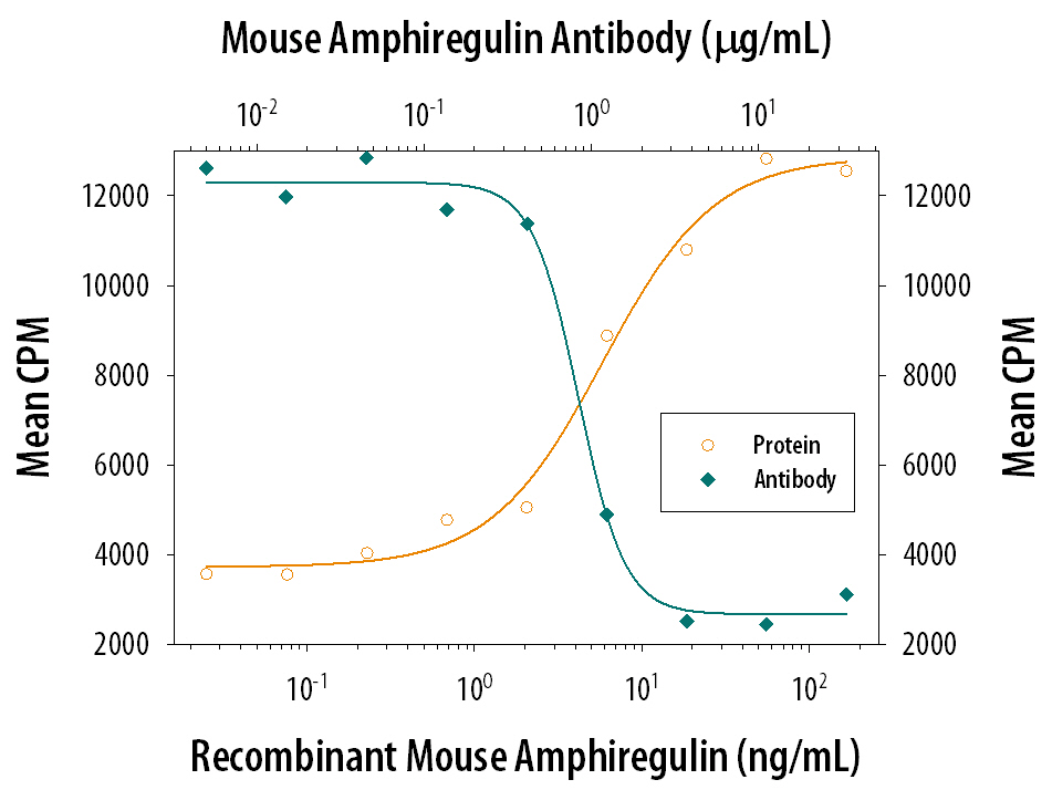 Recombinant Mouse Amphiregulin (Catalog # 989-AR) stimulates proliferation in the Balb/3T3 mouse embryonic fibroblast cell line in a dose-dependent manner (orange line). Proliferation elicited by Recombinant Mouse Amphiregulin (50 ng/mL) is neutralized (green line) by increasing concentrations of Mouse Amphiregulin Antigen Affinity-purified Polyclonal Antibody (Catalog # AF989). The ND50 is typically 0.3-1.5 µg/mL.