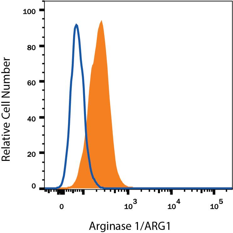 HepG2 human hepatocellular carcinoma cell line was stained with Sheep Anti-Human/Mouse Arginase 1/ARG1 APC-conjugated Antigen Affinity-purified Polyclonal Antibody (Catalog # IC5868A, filled histogram) or isotype control antibody (Catalog # IC016A, open histogram). To facilitate intracellular staining, cells were fixed with Flow Cytometry Fixation Buffer (Catalog # FC004) and permeabilized with Flow Cytometry Permeabilization/Wash Buffer I (Catalog # FC005). View our protocol for Staining Intracellular Molecules.
