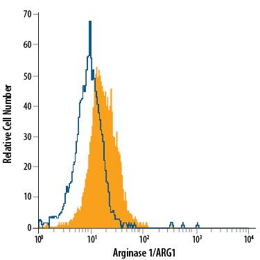 Hepa 1-6 mouse hepatoma cell line was stained with Sheep Anti-Human/Mouse Arginase 1/ARG1 APC-conjugated Antigen Affinity-purified Polyclonal Antibody (Catalog # IC5868A, filled histogram) or isotype control antibody (Catalog # IC016A, open histogram). To facilitate intracellular staining, cells were fixed with Flow Cytometry Fixation Buffer (Catalog # FC004) and permeabilized with Flow Cytometry Permeabilization/Wash Buffer I (Catalog # FC005). View our protocol for Staining Intracellular Molecules.