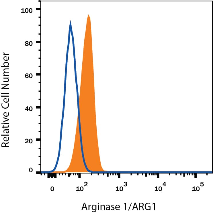 HepG2 human hepatocellular carcinoma cell line was stained with Sheep Anti-Human/Mouse Arginase 1/ARG1 Fluorescein-conjugated Antigen Affinity-purified Polyclonal Antibody (Catalog # IC5868F, filled histogram) or isotype control antibody (Catalog # IC016F, open histogram). To facilitate intracellular staining, cells were fixed with Flow Cytometry Fixation Buffer (Catalog # FC004) and permeabilized with Flow Cytometry Permeabilization/Wash Buffer I (Catalog # FC005). View our protocol for Staining Intracellular Molecules.
