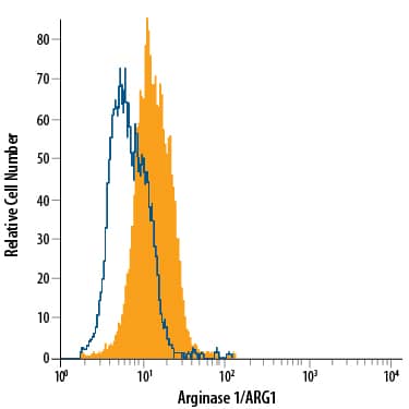 Hepa 1-6 mouse hepatoma cell line was stained with Sheep Anti-Human/Mouse Arginase 1/ARG1 Fluorescein-conjugated Antigen Affinity-purified Polyclonal Antibody (Catalog # IC5868F, filled histogram) or isotype control antibody (Catalog # IC016F, open histogram). To facilitate intracellular staining, cells were fixed with Flow Cytometry Fixation Buffer (Catalog # FC004) and permeabilized with Flow Cytometry Permeabilization/Wash Buffer I (Catalog # FC005). View our protocol for Staining Intracellular Molecules.