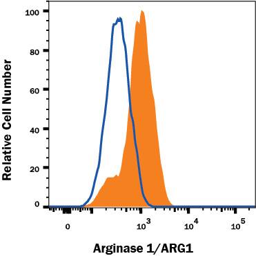 Hepa 1-6 mouse hepatoma cell line was stained with Sheep Anti-Human/Mouse Arginase 1/ARG1 Alexa Fluor® 700-conjugated Antigen Affinity-purified Polyclonal Antibody (Catalog # IC5868N, filled histogram) or isotype control antibody (Catalog # IC016N, open histogram). To facilitate intracellular staining, cells were fixed with Flow Cytometry Fixation Buffer (Catalog # FC004) and permeabilized with Flow Cytometry Permeabilization/Wash Buffer I (Catalog # FC005). View our protocol for Staining Membrane-associated Proteins.