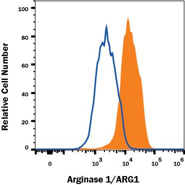 HepG2 human hepatocellular carcinoma cell line was stained with Mouse Anti-Human Arginase 1/ARG1 PerCP-conjugated Monoclonal Antibody (Catalog # IC8026C, filled histogram) or isotype control antibody (Catalog # <a class=