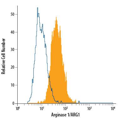 HepG2 human hepatocellular carcinoma cell line was stained with Mouse Anti-Human Arginase 1/ARG1 Alexa Fluor® 488-conjugated Monoclonal Antibody (Catalog # IC8026G, filled histogram) or isotype control antibody (IC0041G, open histogram). To facilitate intracellular staining, cells were fixed with Flow Cytometry Fixation Buffer (FC004) and permeabilized with Flow Cytometry Permeabilization/Wash Buffer I (FC005). View our protocol for Staining Intracellular Molecules.