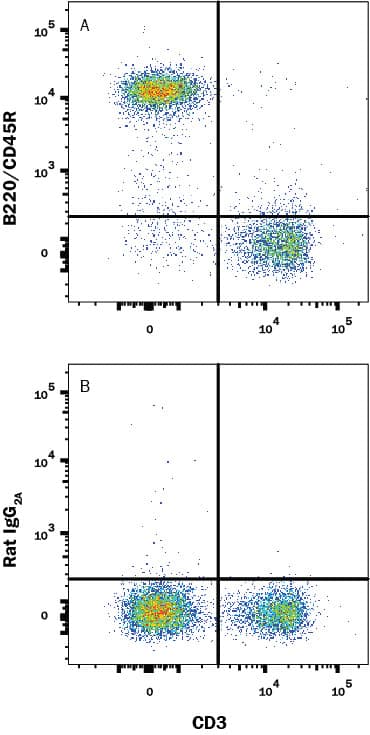 Mouse splenocytes were stained with (A) Rat Anti-Mouse Biotinylated B220/CD45R Monoclonal Antibody (Catalog # BAM1217) or (B) Rat IgG2A Biotinylated isotype control antibody (Catalog # IC006B) followed by Streptavidin-Phycoerythrin (Catalog # F0040) and Rat Anti-Mouse CD3 epsilon APC-conjugated Monoclonal Antibody (Catalog # FAB4841A). View our protocol for Staining Membrane-associated Proteins.