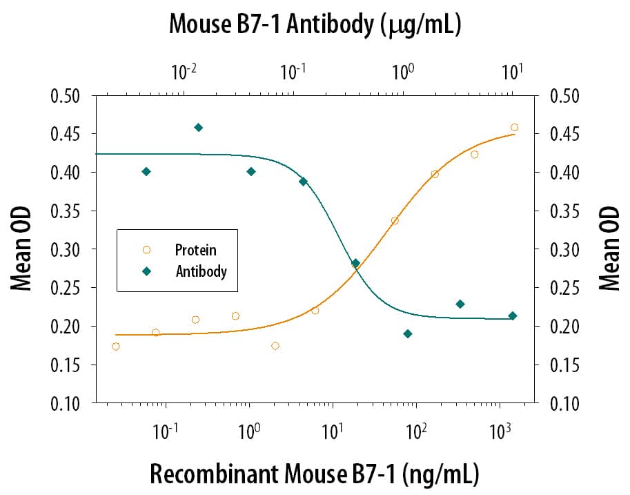Recombinant Mouse B7-1/CD80 Fc Chimera (Catalog # 740-B1) co-stimulates IL-2 secretion in the Jurkat human acute T cell leukemia cell line in the presence of PHA in a dose-dependent manner (orange line), as measured by the Human IL-2 Quantikine ELISA Kit (Catalog # D2050). IL-2 secretion elicited by Recombinant Mouse B7-1/CD80 Fc Chimera (0.1 µg/mL) and PHA (10 µg/mL) is neutralized (green line) by increasing concentrations of Goat Anti-Mouse B7-1/CD80 Antigen Affinity-purified Polyclonal Antibody (Catalog # AF740). The ND50 is typically 0.15-0.6 µg/mL.