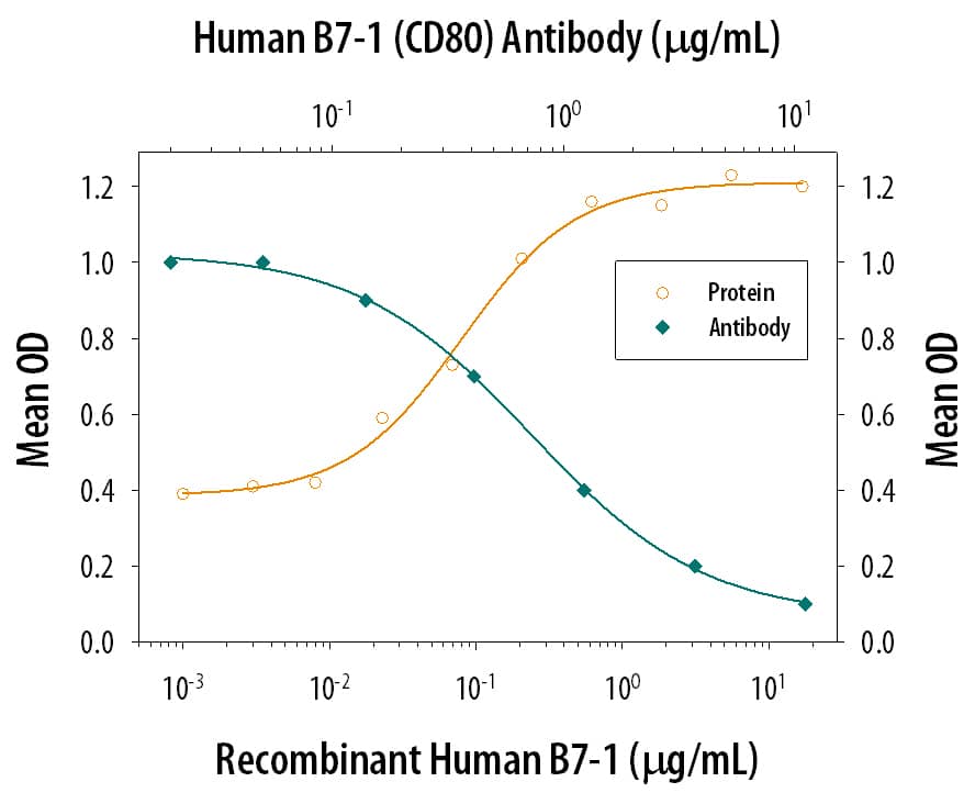 Neutralization B7-1/CD80 Antibody (37711) [Unconjugated]
