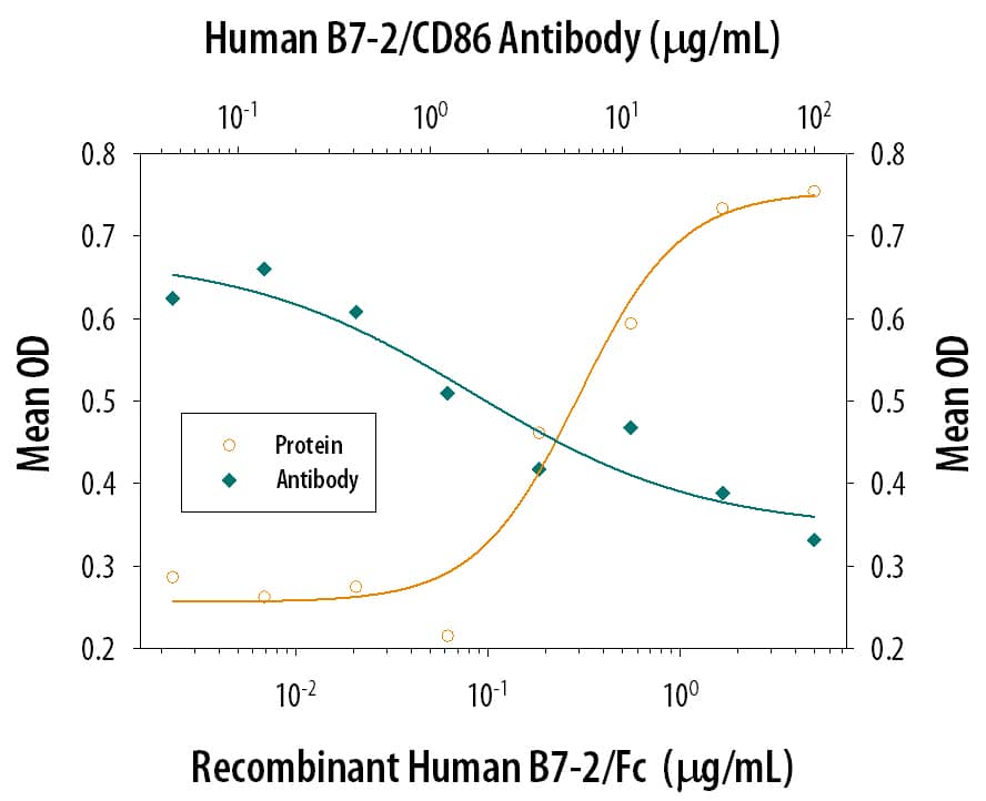 Recombinant Human B7-2/CD86 Fc Chimera (141-B2) co-stimulates IL-2 secretion in the Jurkat human acute T cell leukemia cell line in the presence of PHA in a dose-dependent manner (orange line), as measured by the Human IL-2 Quantikine ELISA Kit (D2050). IL-2 secretion elicited by Recombinant Human B7-2/CD86 Fc Chimera (2 µg/mL) and PHA (10 µg/mL) is neutralized (green line) by increasing concentrations of Goat Anti-Human B7-2/CD86 Antigen Affinity-purified Polyclonal Antibody (Catalog # AF-141-NA). The ND50 is typically 0.25-1.25 µg/mL.