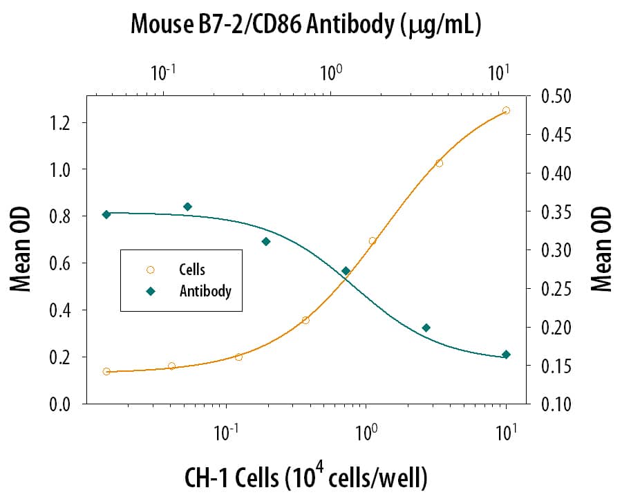 The CH‑1 mouse B cell lymphoma cell line, which expresses B7‑1 and B7‑2 on the cell surface, co-stimulates IL‑2 secretion in the Jurkat human acute T cell leukemia cell line in the presence of PHA (10 µg/mL) in a dose-dependent manner (orange line), as measured by the Human IL‑2 Quantikine ELISA Kit (Catalog # D2050). Under these conditions, IL‑2 secretion elicited by CH‑1 cells is neutralized (green line) by increasing concentrations of Goat Anti-Mouse B7‑2/CD86 Antigen Affinity-purified Polyclonal Antibody (Catalog # AF-441-NA). The ND50 is typically 2-5 µg/mL.