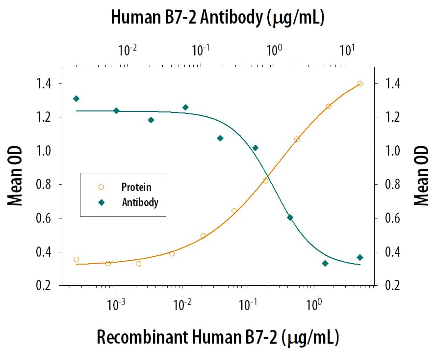 Recombinant Human B7-2/CD86 Fc Chimera induces IL-2 secretion in the Jurkat human acute T cell leukemia cell line in a dose-dependent manner (orange line), as measured by the Human IL-2 Quantikine kit (Catalog # D2050). Under these conditions, IL-2 secretion elicited by B7-2/ CD86 is neutralized (green line) by increasing concentrations of Mouse Anti-Human B7-2/CD86 Monoclonal Antibody (Catalog # MAB141). The ND50 is typically 0.5-2.5 µg/mL.