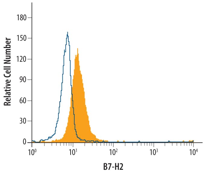 U937 human histiocytic lymphoma cell line was stained with Goat Anti-Human B7-H2 Biotinylated Antigen Affinity-purified Polyclonal Antibody (Catalog # BAF165, filled histogram) or isotype control antibody (Catalog # BAF108, open histogram), followed by Streptavidin-Phycoerythrin (Catalog # F0040).