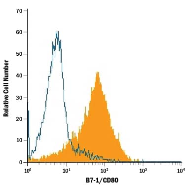 Raji human Burkitt's lymphoma cell line was stained with Mouse Anti-Human B7-1/CD80 PE-conjugated Monoclonal Antibody (Catalog # FAB140P, filled histogram) or isotype control antibody (Catalog # IC002P, open histogram). View our protocol for Staining Membrane-associated Proteins.