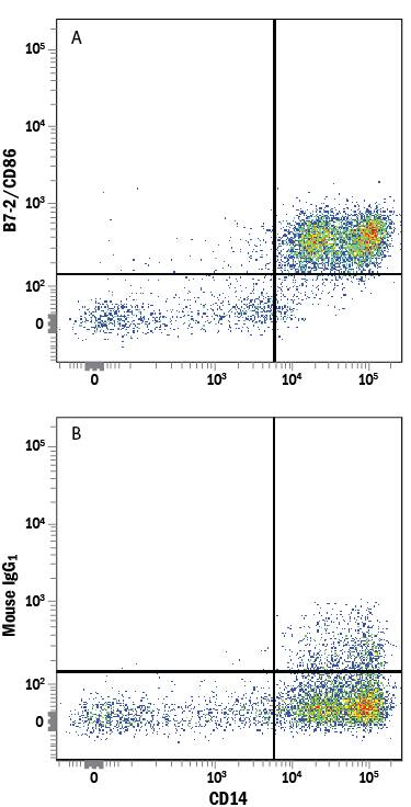 Human peripheral blood mononuclear cells (PBMCs) were stained with Mouse Anti-Human CD14 PE-conjugated Monoclonal Antibody (Catalog # FAB3832P) and either (A) Mouse Anti-Human B7-2/CD86 Alexa Fluor® 700-conjugated Monoclonal Antibody (Catalog # FAB141N) or (B) Mouse IgG1Alexa Fluor 700 Isotype Control (Catalog # IC002N). View our protocol for Staining Membrane-associated Proteins.