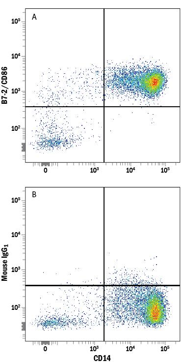 Human peripheral blood monocytes were stained with Mouse Anti-Human CD14 APC-conjugated Monoclonal Antibody (Catalog # FAB3832A) and either (A) Mouse Anti-Human B7-2/CD86 PE-conjugated Monoclonal Antibody (Catalog # FAB141P) or (B) Mouse IgG1Phycoerythrin Isotype Control (Catalog # IC002P). View our protocol for Staining Membrane-associated Proteins.