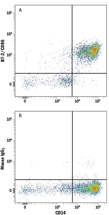 Human peripheral blood mononuclear cells (PBMCs) were stained with Mouse Anti-Human CD14 PE-conjugated Monoclonal Antibody (Catalog # FAB3832P) and either (A) Mouse Anti-Human B7-2/CD86 Alexa Fluor® 647-conjugated Monoclonal Antibody (Catalog # FAB141R) or (B) Mouse IgG1Alexa Fluor 647 Isotype Control (Catalog # IC002R). View our protocol for Staining Membrane-associated Proteins.