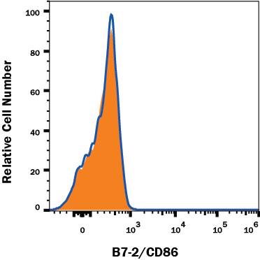 <b>Genetic Strategies Validation. </b>B7-2/CD86 knockout Ramos human lymphoma cell line was stained with Mouse Anti-Human B7-2/CD86 Monoclonal Antibody (Catalog # MAB141, filled histogram) or isotype control antibody (Catalog # MAB002, open histogram) followed by PE-conjugated Goat anti-Mouse IgG Secondary Antibody (Catalog # F0102B). No staining in the B7-2/CD86 knockout Ramos cell line was observed. View our protocol for Staining Membrane-associated Proteins.