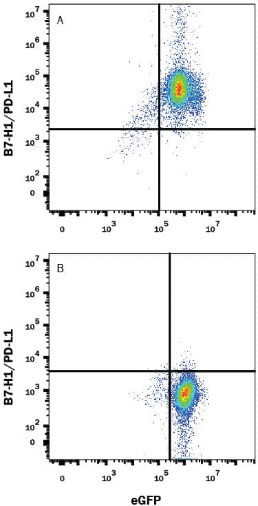 HEK293 human embryonic kidney cell line transfected with either (A) mouse PD-L1/B7-H1 or (B) irrelevant transfectants and eGFP was stained with Goat Anti-Mouse PD-L1/B7-H1 Antigen Affinity-purified Polyclonal Antibody (Catalog # AF1019) followed by Allophycocyanin-conjugated Anti-Goat IgG Secondary Antibody (Catalog # F0108). Quadrant markers were set based on control antibody staining (Catalog # AB-108-C). View our protocol for Staining Membrane-associated Proteins.