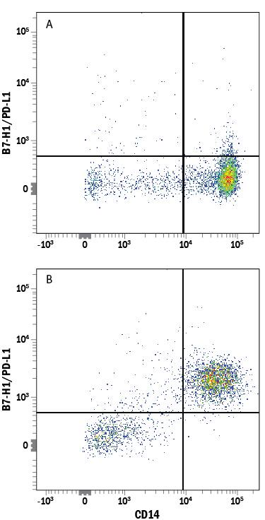 Human peripheral blood mononuclear cells (PBMCs) (A) resting or (B) treated with 1 µg/mL LPS overnight were stained with Mouse Anti-Human CD14 PE-conjugated Monoclonal Antibody (Catalog # FAB3832P) and Mouse Anti-Human B7-H1/PD-L1 APC-conjugated Monoclonal Antibody (Catalog # FAB1561A). Quadrant markers were set based on control antibody staining (Catalog # IC002A). View our protocol for Staining Membrane-associated Proteins.