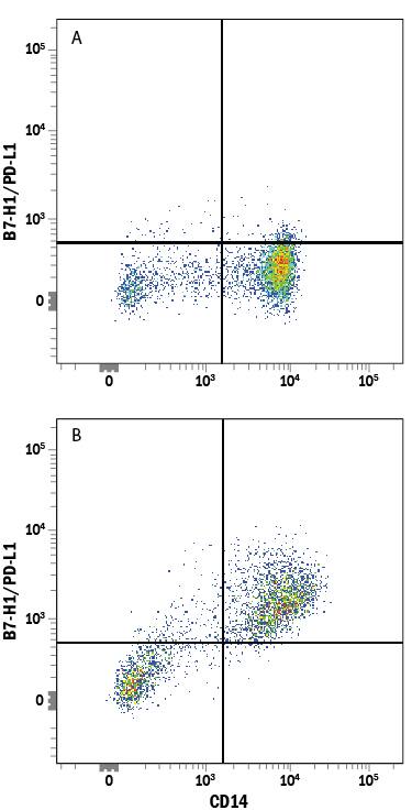 Human peripheral blood mononuclear cells (PBMCs) (A) resting or (B) treated with 1 µg/mL LPS overnight were stained with Mouse Anti-Human CD14 Fluorescein-conjugated Monoclonal Antibody (Catalog # FAB3832F) and Mouse Anti-Human B7-H1/PD-L1 PerCP-conjugated Monoclonal Antibody (Catalog # FAB1561C). Quadrant markers were set based on control antibody staining (Catalog # IC002C). View our protocol for Staining Membrane-associated Proteins.