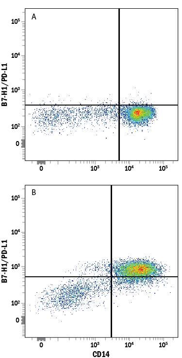 Human peripheral blood mononuclear cells (PBMCs) either (A) untreated or (B) treated with LPS were stained with Mouse Anti-Human B7-H1/PD-L1 Alexa Fluor® 405-conjugated Monoclonal Antibody (Catalog # FAB1561V) and Mouse Anti-Human CD14 APC-conjugated Monoclonal Antibody (Catalog # FAB3832A). Quadrant markers were set based on control antibody staining (Catalog # IC002V). View our protocol for Staining Membrane-associated Proteins.
