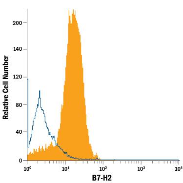U937 human histiocytic lymphoma cell line was stained with Mouse Anti-Human B7-H2 PE-conjugated Monoclonal Antibody (Catalog # FAB165P, filled histogram) or isotype control antibody (Catalog # IC0041P, open histogram). View our protocol for Staining Membrane-associated Proteins.