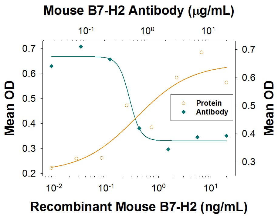 Recombinant Mouse B7-H2 (Catalog # 8127-B7) induces IL-4 secretion in the D10.G4.1 mouse helper T cell line in the presence of Rat Anti-Mouse CD3 Monoclonal Antibody (Catalog # MAB4841) in a dose-dependent manner (orange line), as measured by the Mouse IL-4 Quantikine ELISA Kit (Catalog # M4000B). Under these conditions, IL-4 secretion elicited by B7-H2 (2.5 µg/mL) is neutralized (green line) by increasing concentrations of Rat Anti-Mouse B7-H2 Monoclonal Antibody (Catalog # MAB10083). The ND50 is typically 0.3-1.8 µg/mL.