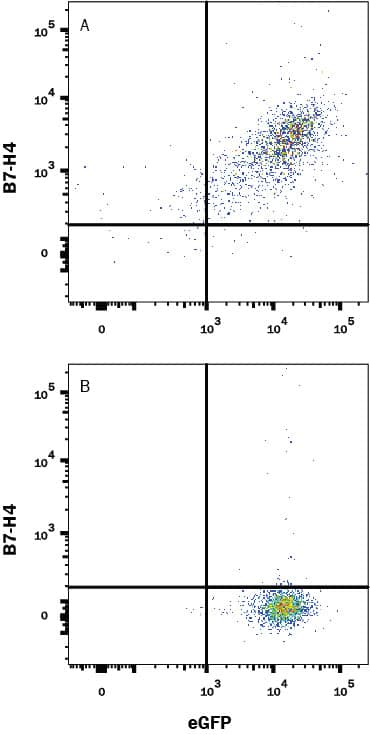 Flow Cytometry B7-H4 Antibody [Unconjugated]