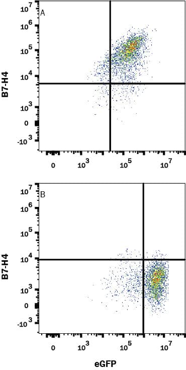 Flow Cytometry B7-H4 Antibody (2319B) [Unconjugated]