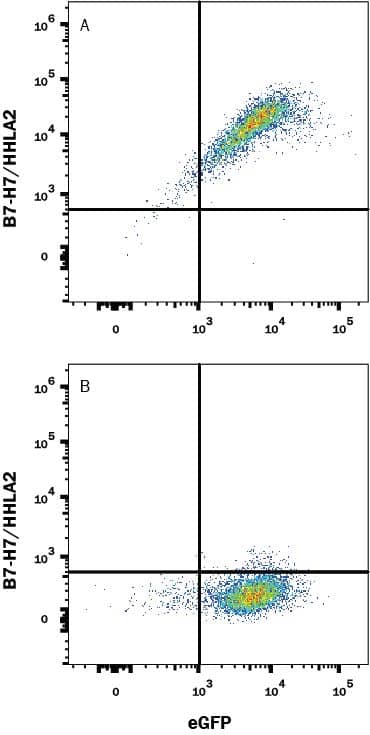 Flow Cytometry B7-H7/HHLA2 Antibody (907812) [Unconjugated]