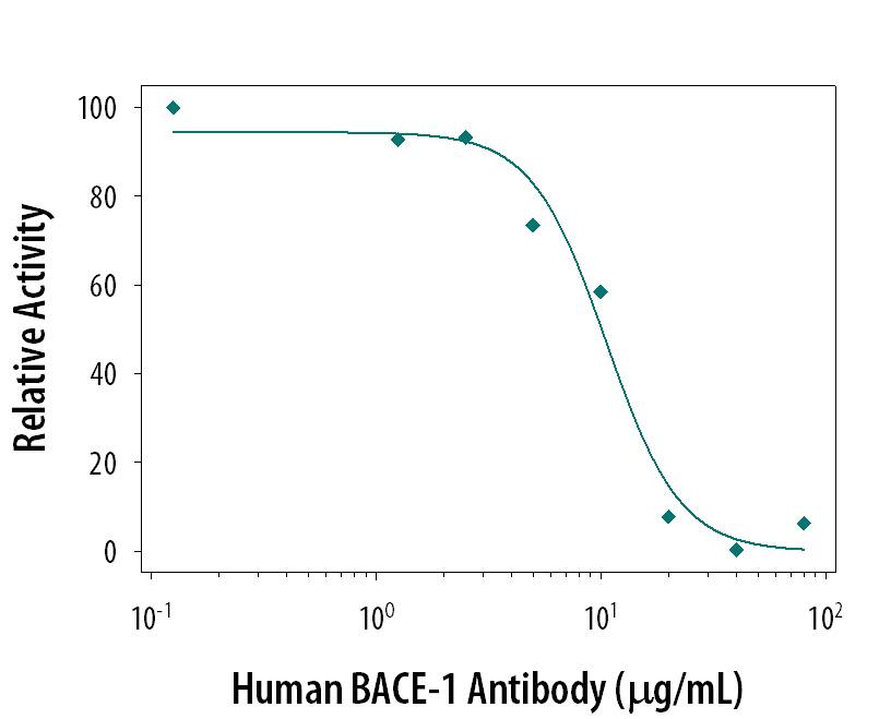 The cleavage of Mca-SEVNLDAEFRK(Dnp)RR-NH2(10 µM, Catalog # ES004) by Recombinant Human BACE-1 (10 µg/mL, Catalog # 931-AS) or Recombinant Mouse BACE-1 (10 µg/mL, Catalog # 2976-AS) is measured after preincubation with increasing concentrations of Mouse Anti-Human/Mouse BACE-1 Ectodomain Monoclonal Antibody (Catalog # MAB9311). The ND50 is typically 10 µg/mL.a