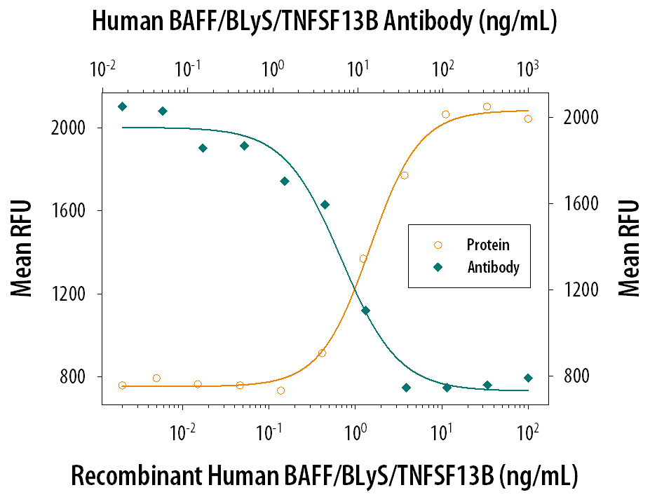 In the presence of Goat F(ab')2 Anti-mouse IgM (1 µg/mL), Recombinant Human BAFF/BLyS/TNFSF13B (Catalog # 2149-BF) stimulates proliferation in mouse B cells in a dose-dependent manner (orange line). Under these conditions, proliferation elicited by Recombinant Human BAFF/BLyS/TNFSF13B (5 ng/mL) is neutralized (green line) by increasing concentrations of Goat Anti-Human BAFF/BLyS/TNFSF13B Antigen Affinity-purified Polyclonal Antibody (Catalog # AF124). The ND50 is typically 3-12 ng/mL.