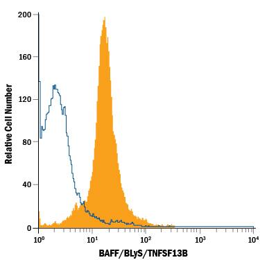 Mouse splenocytes were stained with Rat Anti-Mouse BAFF/BLyS/TNFSF13B Alexa Fluor® 488-conjugated Monoclonal Antibody (Catalog # IC1357G, filled histogram) or isotype control antibody (Catalog # IC006G, open histogram). To facilitate intracellular staining, cells were fixed with Flow Cytometry Fixation Buffer (Catalog # FC004) and permeabilized with Flow Cytometry Permeabilization/Wash Buffer I (Catalog # FC005). View our protocol for Staining Intracellular Molecules.