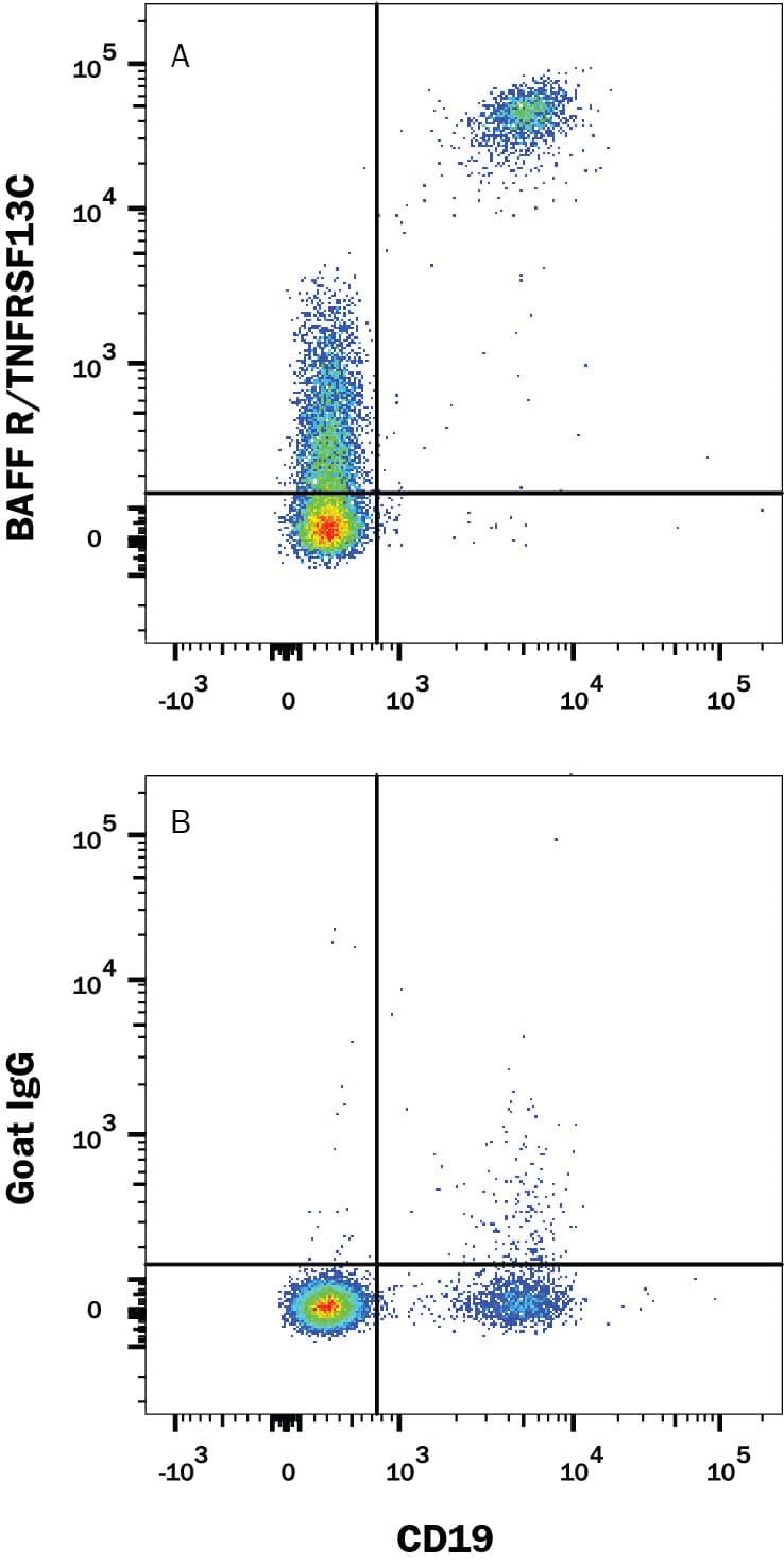 Flow Cytometry BAFFR/TNFRSF13C Antibody [Unconjugated]